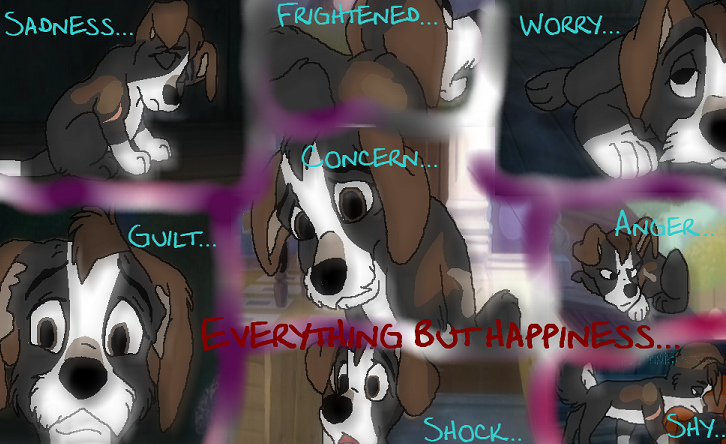 Everything but Happiness...