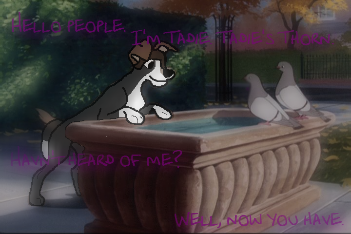 Hello people?