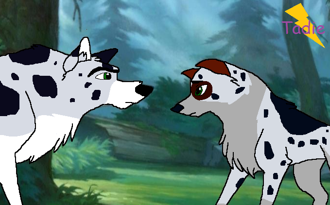 Luna and Starsky- daughter and father