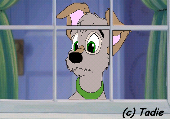 Scooter Wants Outside