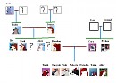 Family Tree of Brandon and Cora