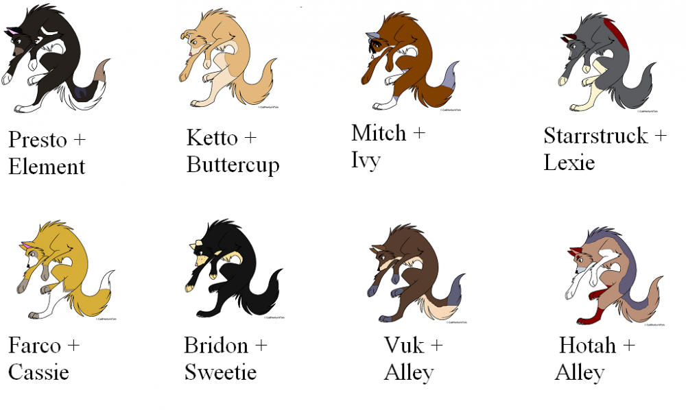 8 Fan Pups