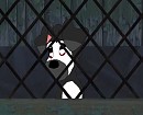 Circus- First Try with Cat's Style