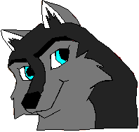New Avvie!