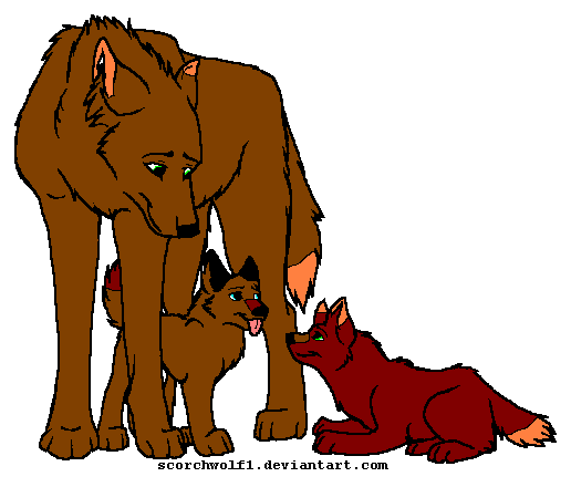 The pups