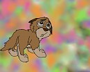 Littel Balto