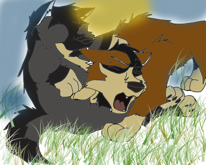 Bro fight!