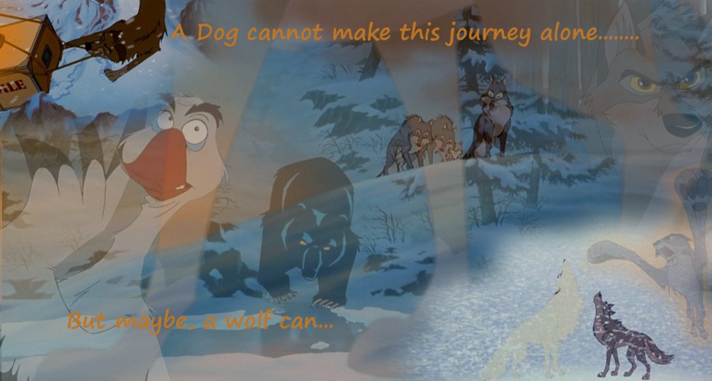A dog cannot...