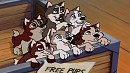 My Version Of Balto X Jenna's Pups