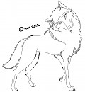 Free female wolf rendered lineart (for PSD users)
