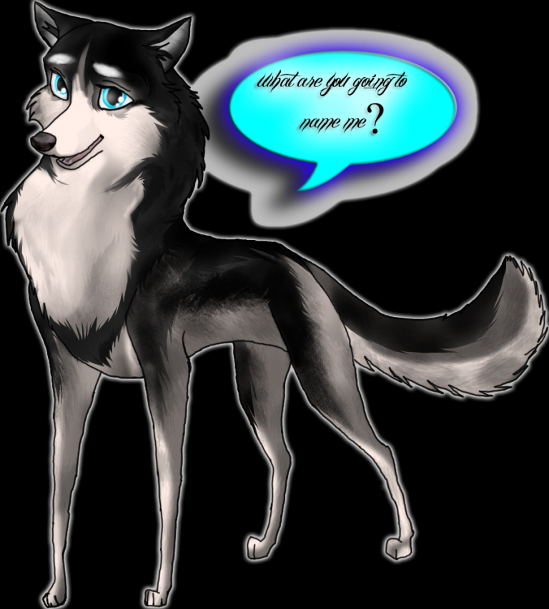 my new OC needs a name!