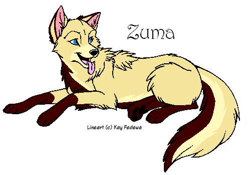 Zumiezzzzzzz 8D