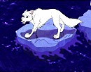 Poor Alpy stuck on ice...