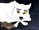 new born balto