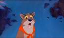 Balto's Long Lost Son