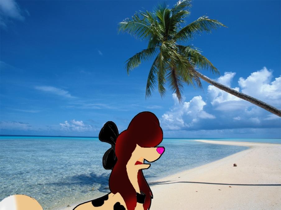 Cindy at the beach