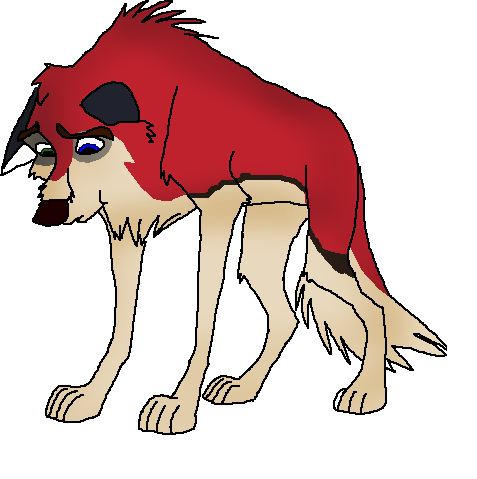 Bow WOW