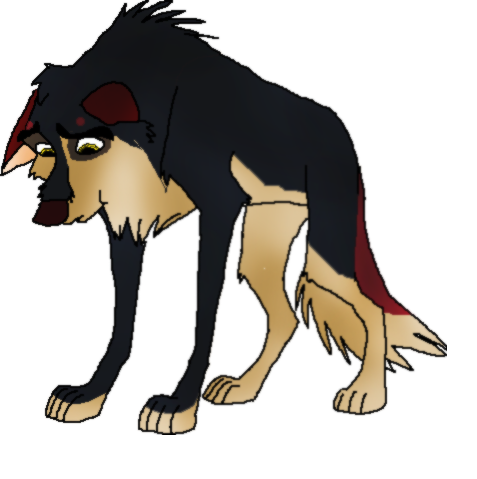Bark
