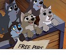 the whole gang from balto 2 as pups