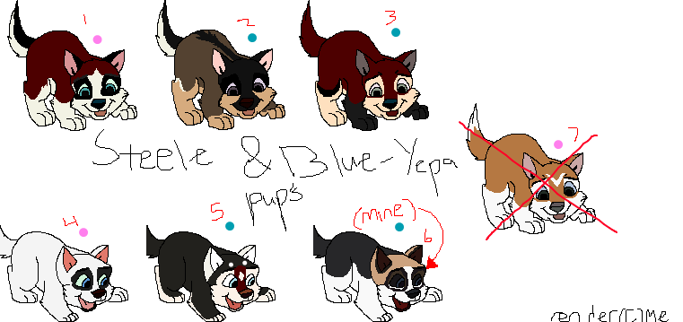 !!!ADOPTION TIME!!!
