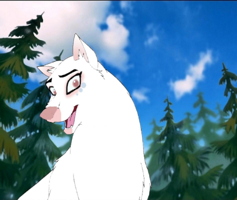 white snowfall in the woods