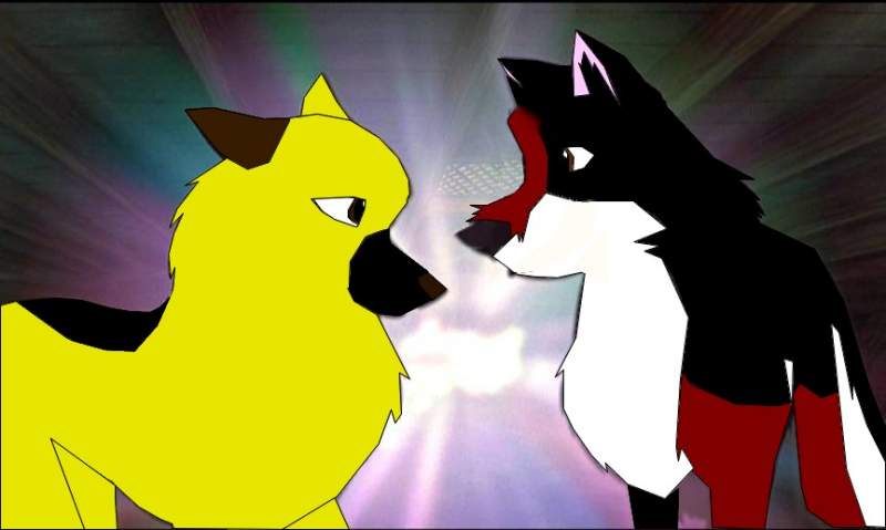 Myki and Tiki