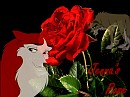 Jenna's Rose