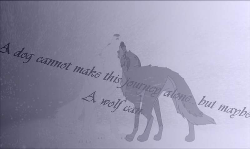 A wolf can