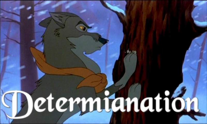 Determination