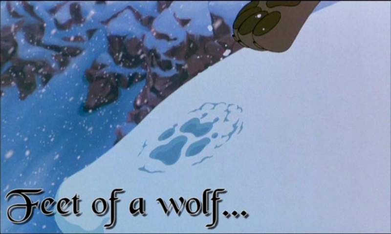 Feet of a wolf.