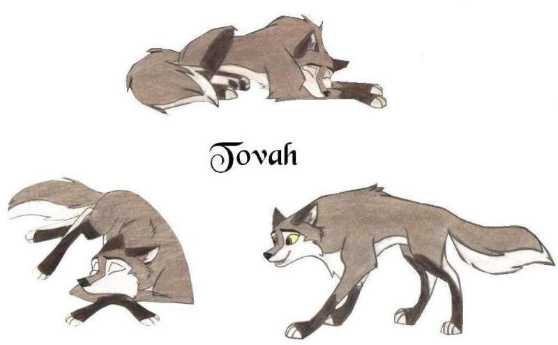 Tovah