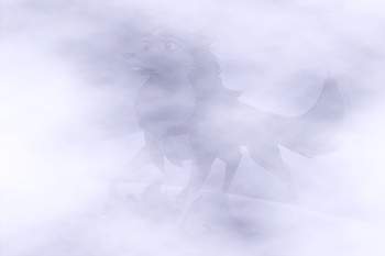 More fog