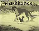 Flashbacks