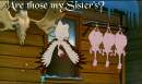 Sisters