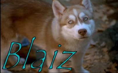 Blaiz