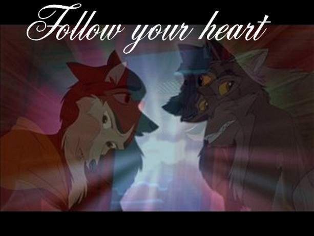 Follow your Heart