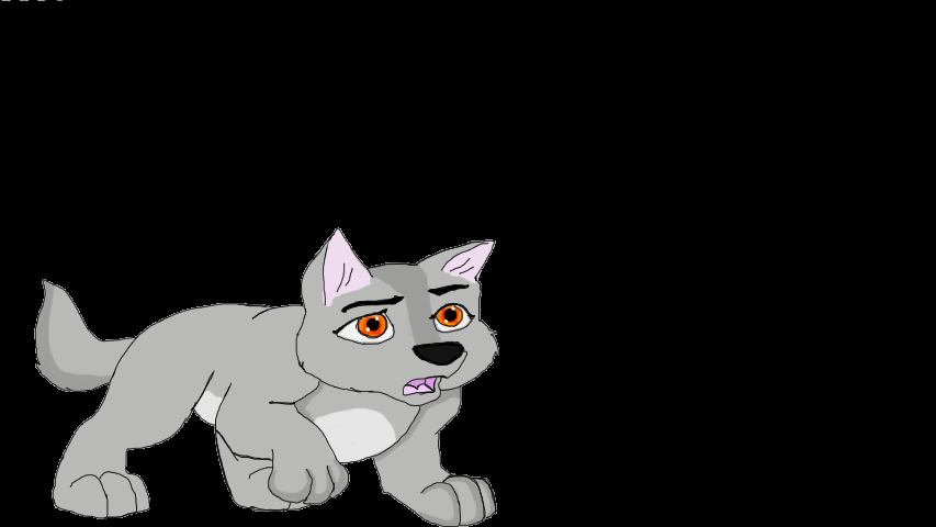 Mikki 