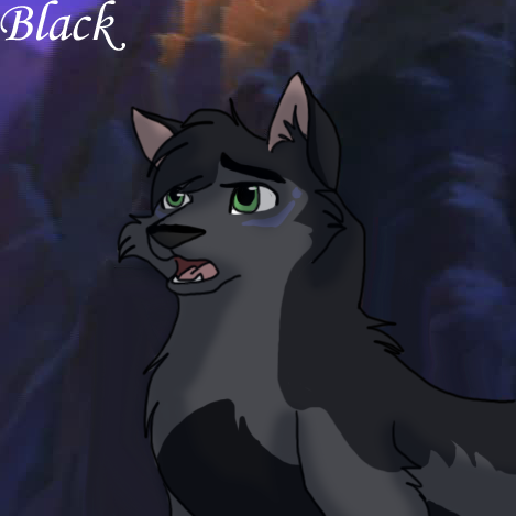 Black Request for Blackwolf123
