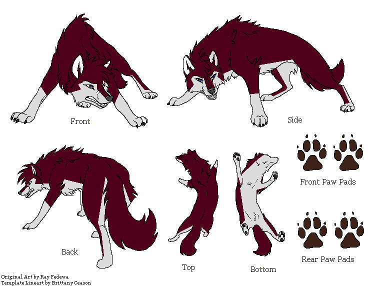 Dakota's Reference Sheet