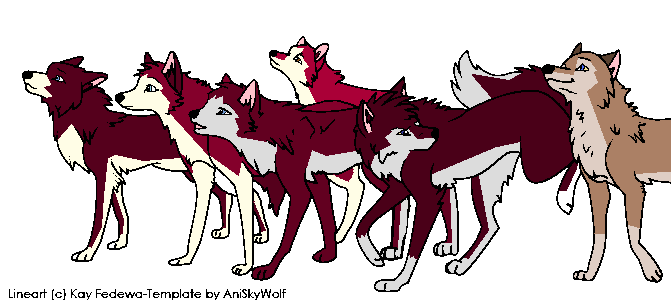 The pups