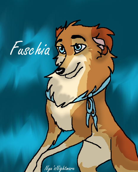 Fuschia