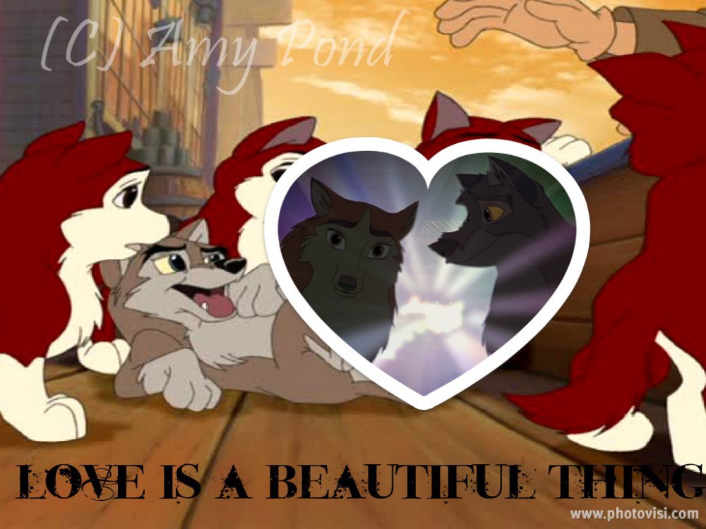 Love Is Delicate