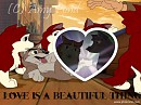 Love Is Delicate