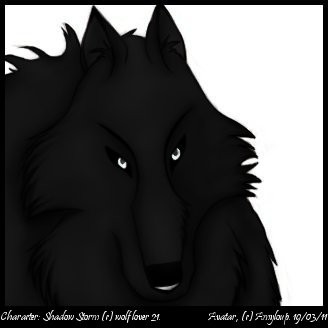 Shadow Storm Avatar
