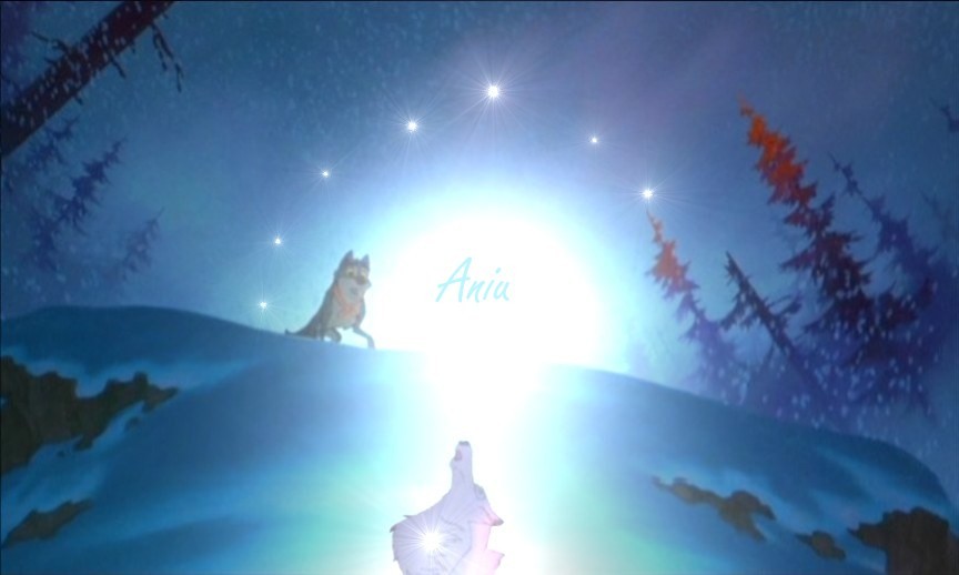 Aniu