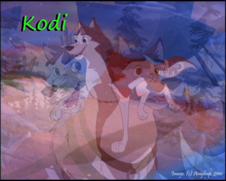 Kodi