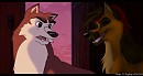Kodi and Buck