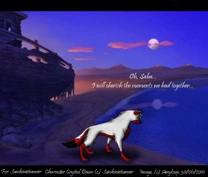 Oh, Saba...I will cherish the moments we had to...