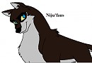 Niju'fan 