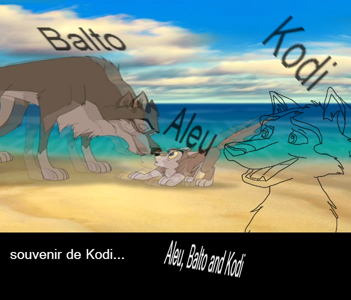 souvenir de Kodi